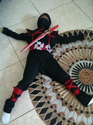 Fallen Ninja