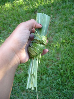 Holding-lemongrass
