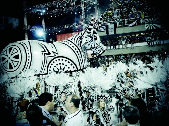 SalgueiroBullFloat